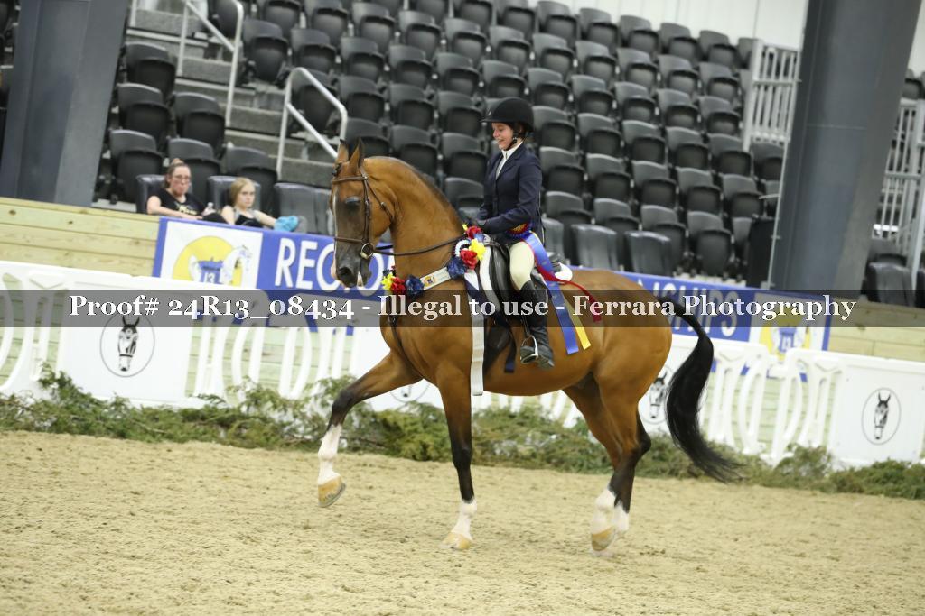 Proof 24R13_08434