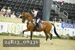 24R13_08436 proof