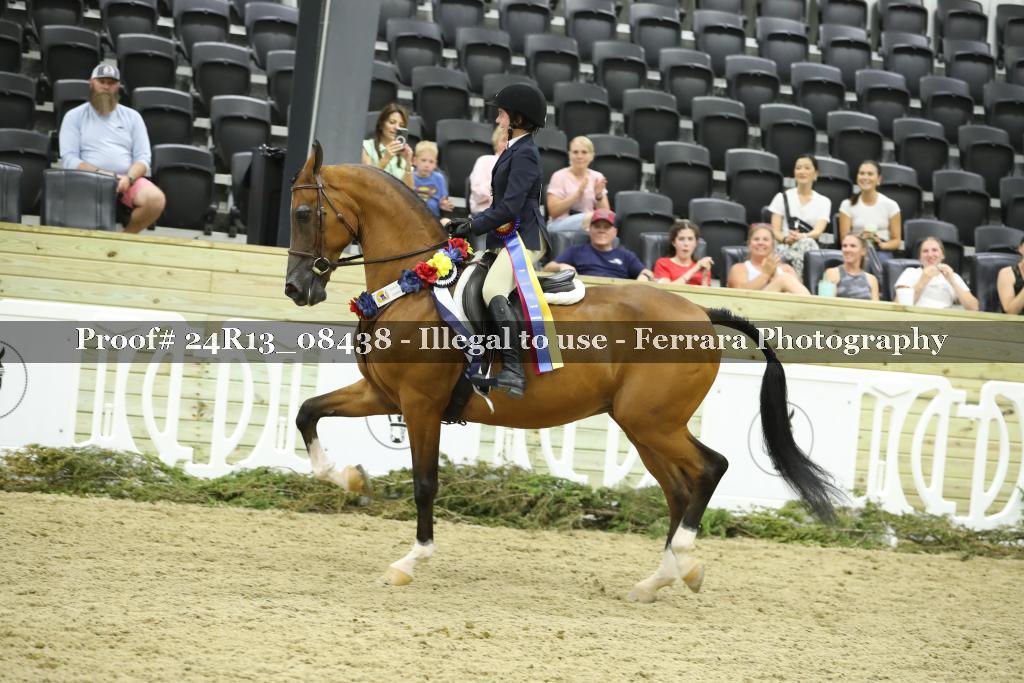 Proof 24R13_08438