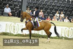 24R13_08438 proof