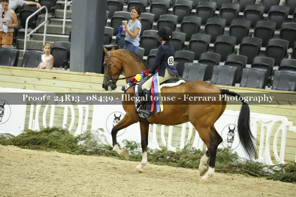 Proof 24R13_08439