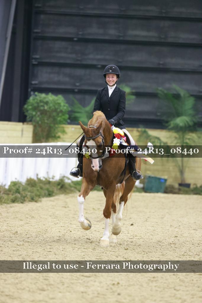 Proof 24R13_08440