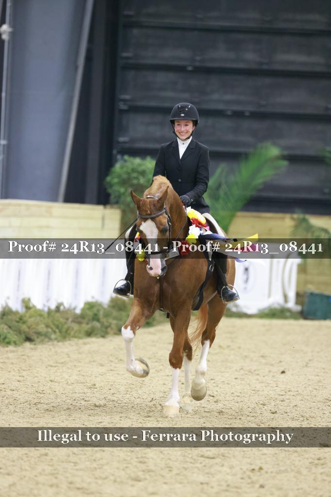Proof 24R13_08441