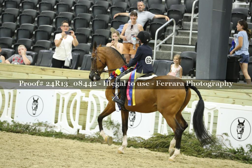 Proof 24R13_08442