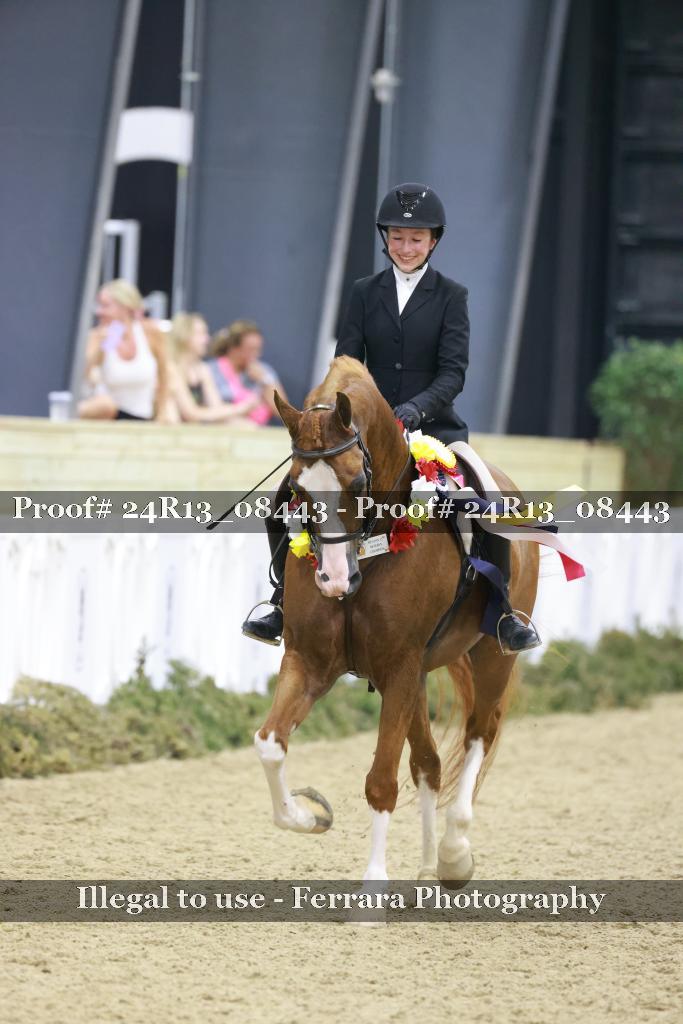 Proof 24R13_08443