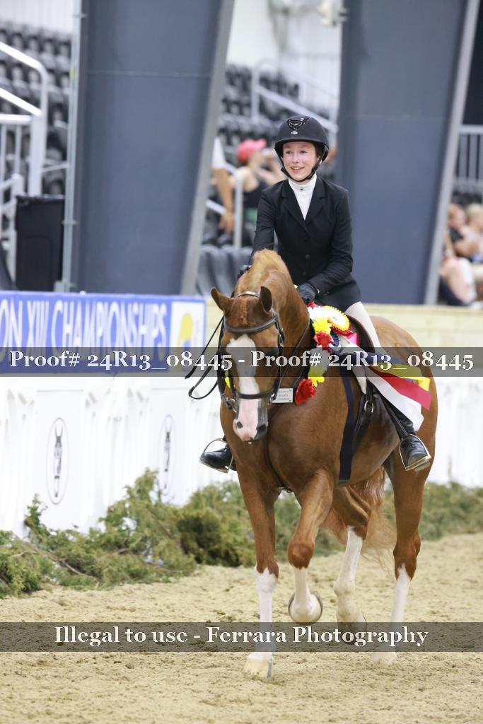 Proof 24R13_08445