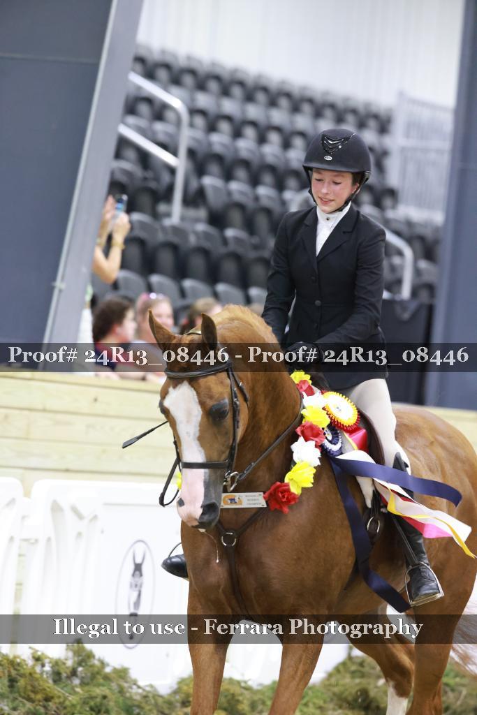 Proof 24R13_08446