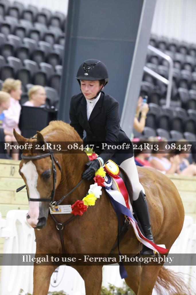 Proof 24R13_08447