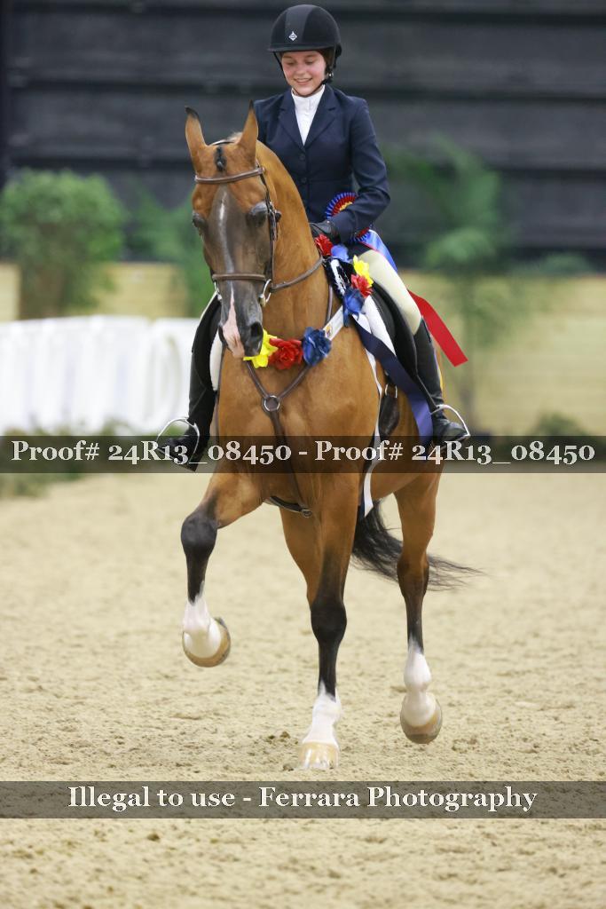 Proof 24R13_08450