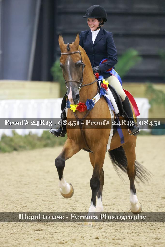 Proof 24R13_08451
