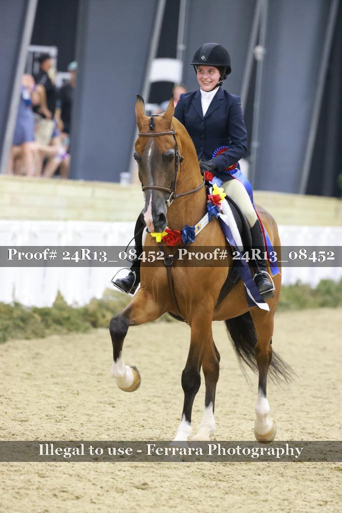 Proof 24R13_08452