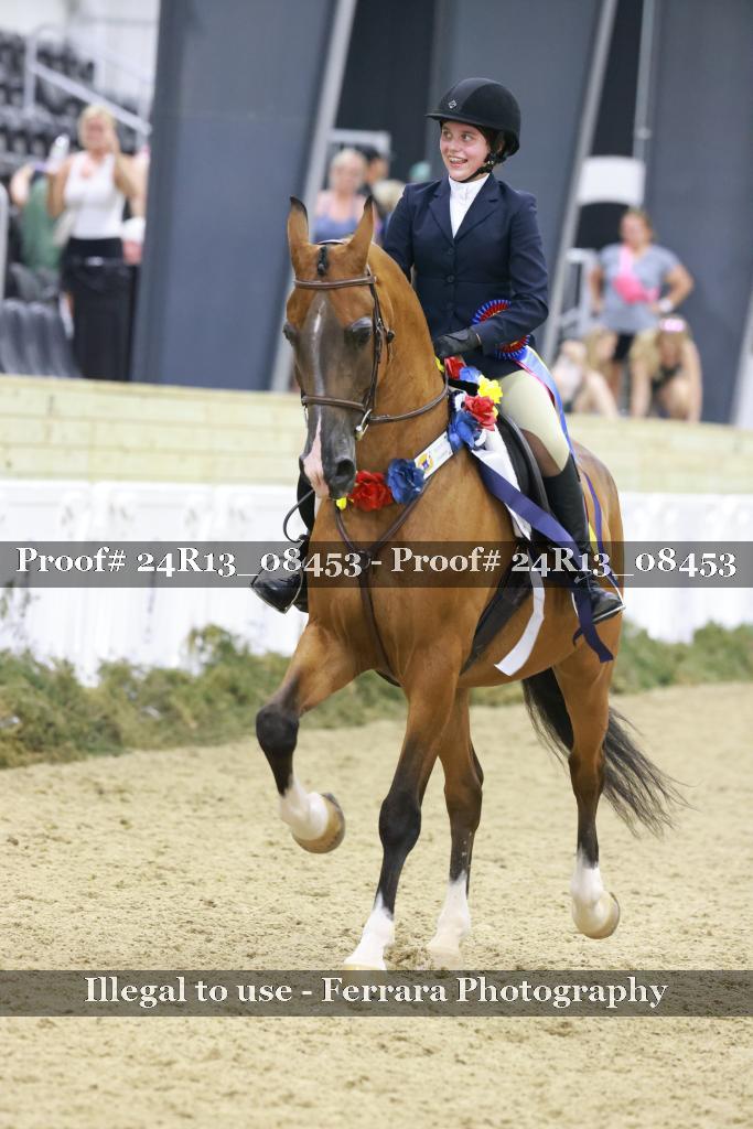 Proof 24R13_08453