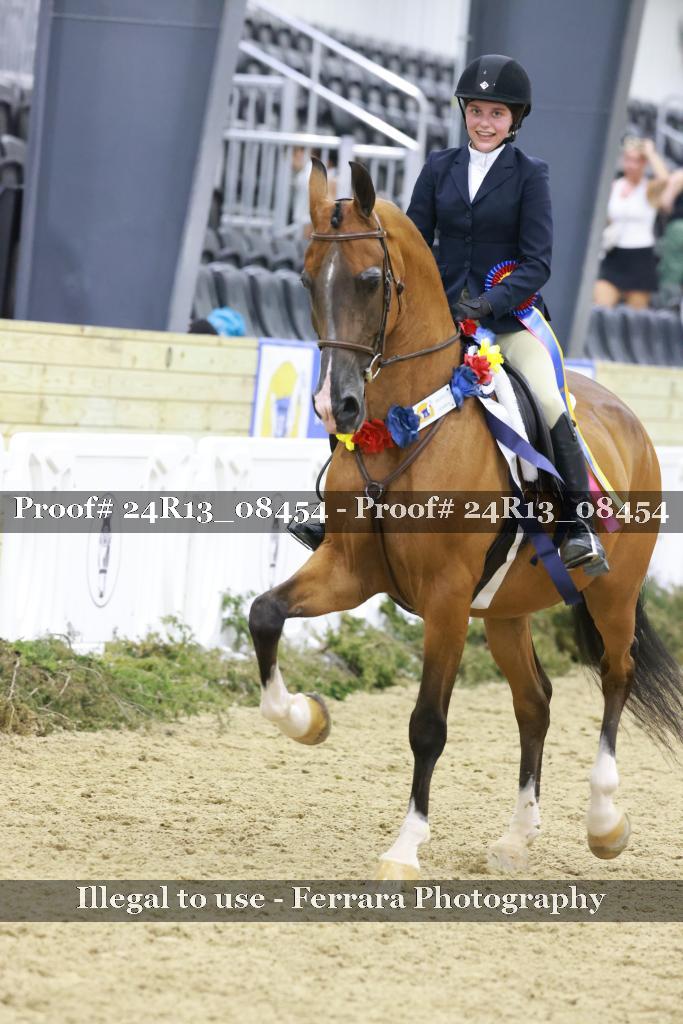 Proof 24R13_08454