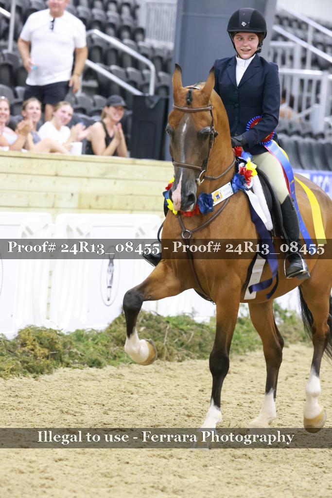 Proof 24R13_08455