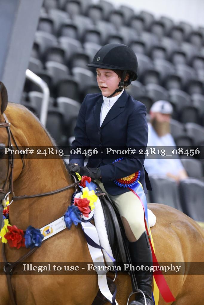 Proof 24R13_08456