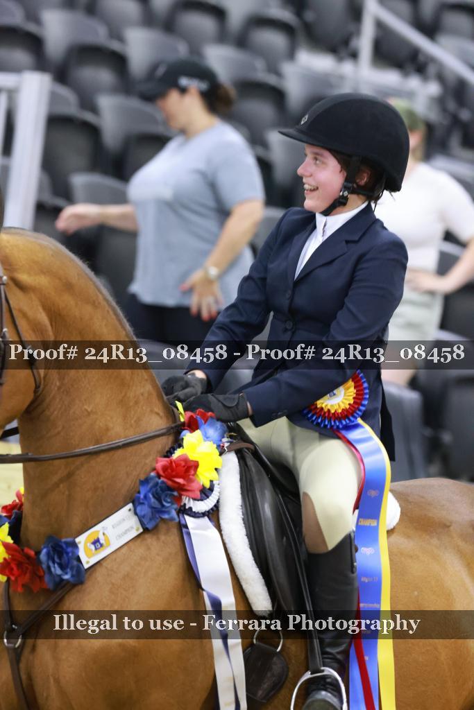 Proof 24R13_08458