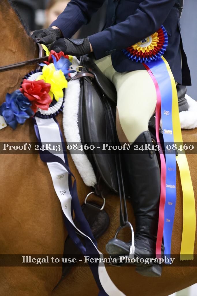 Proof 24R13_08460