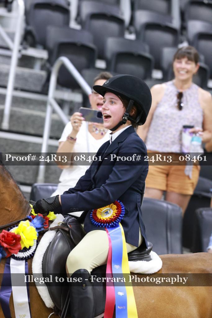 Proof 24R13_08461