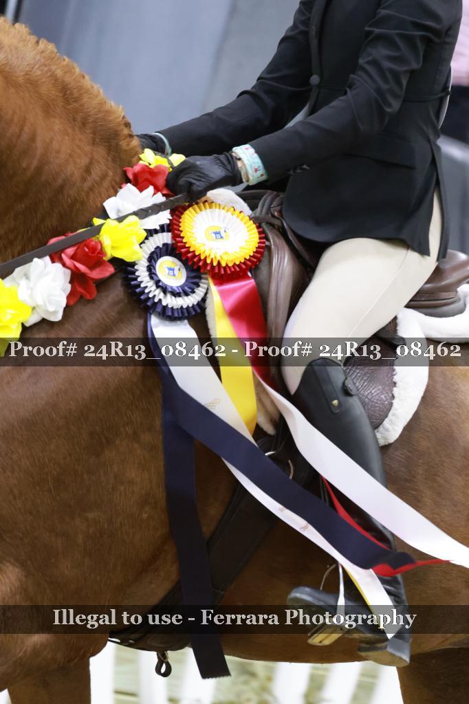 Proof 24R13_08462