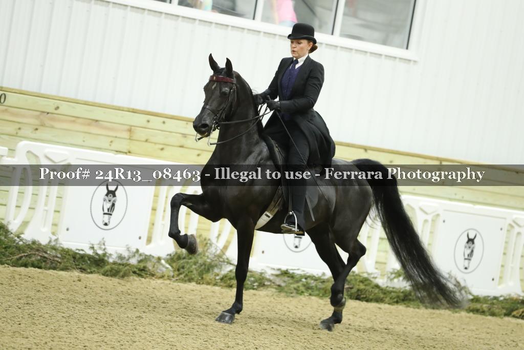 Proof 24R13_08463
