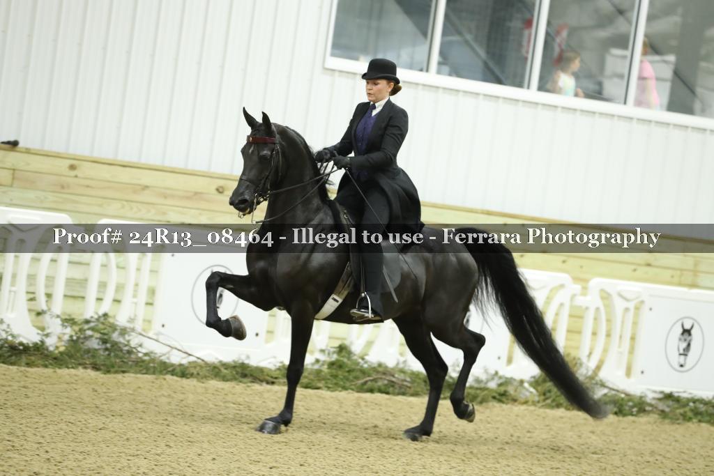 Proof 24R13_08464