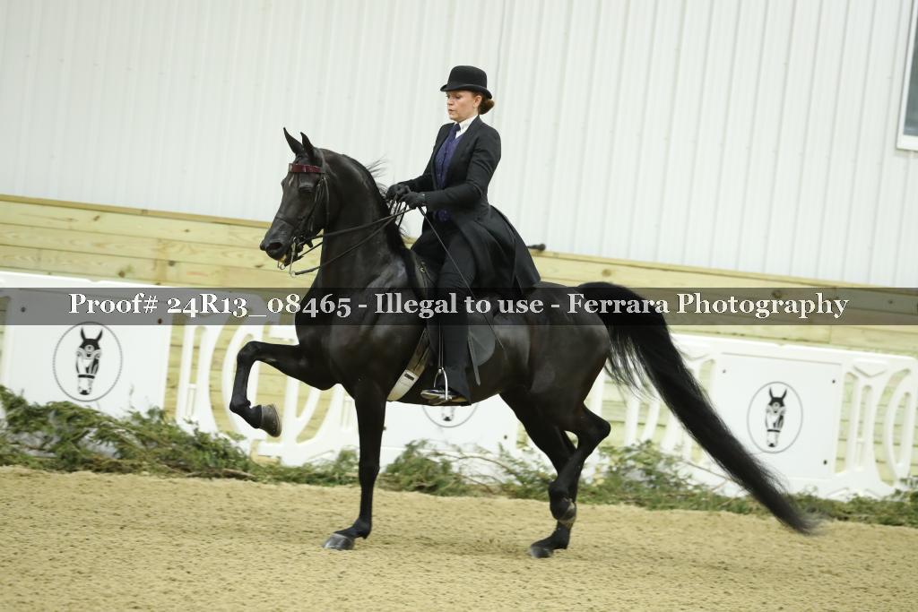 Proof 24R13_08465