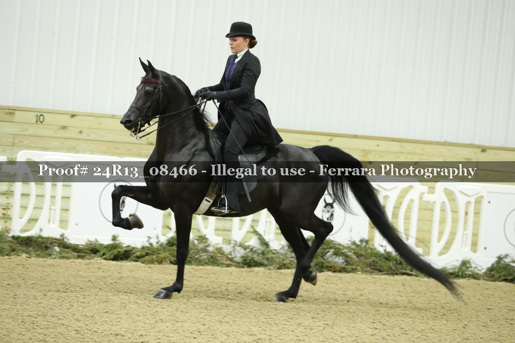 Proof 24R13_08466