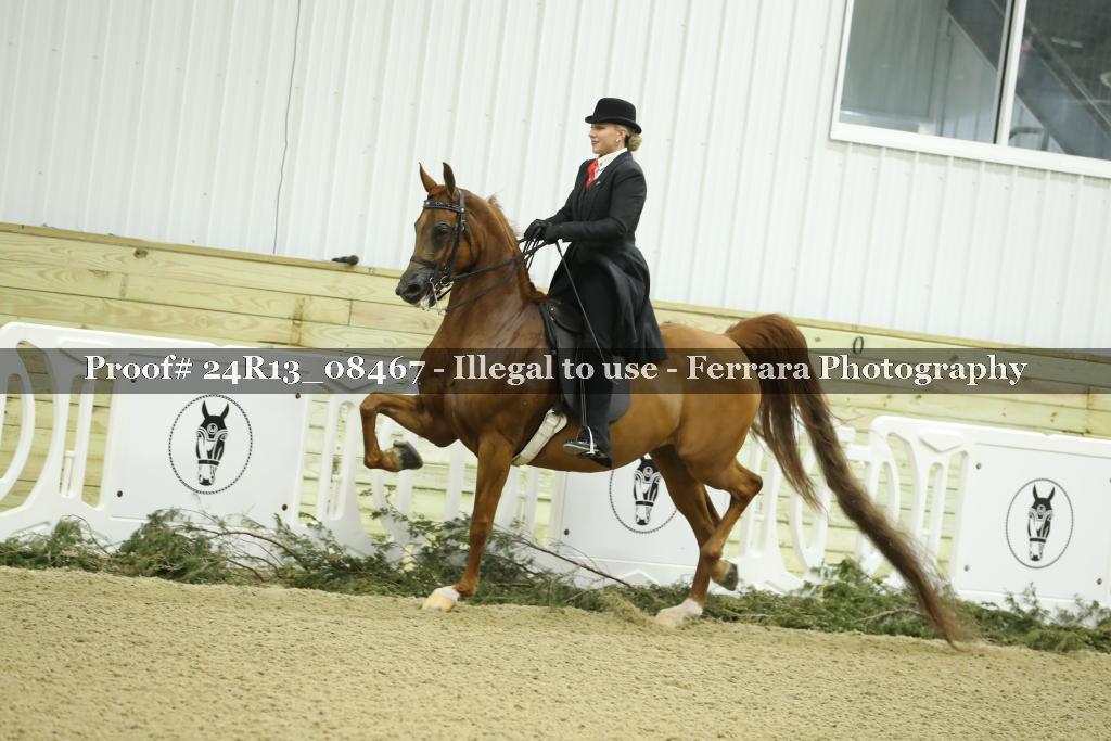 Proof 24R13_08467