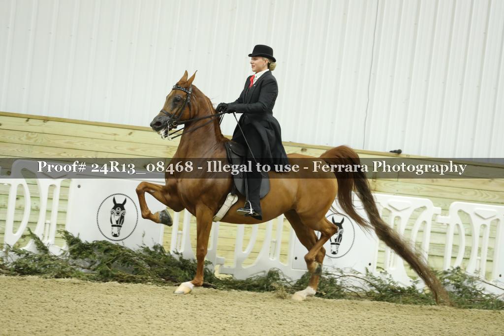 Proof 24R13_08468