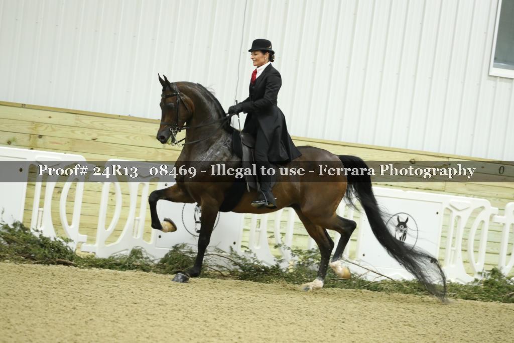 Proof 24R13_08469