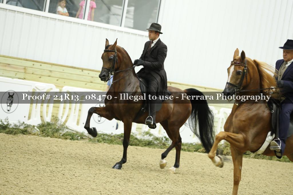 Proof 24R13_08470