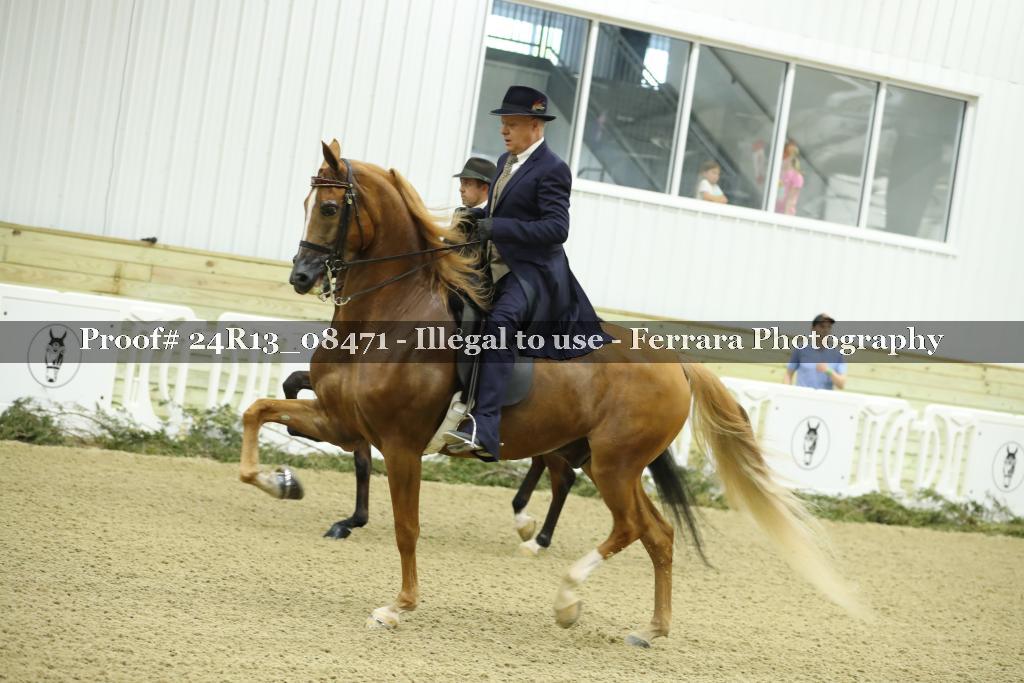 Proof 24R13_08471