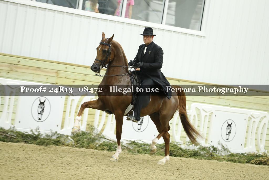 Proof 24R13_08472