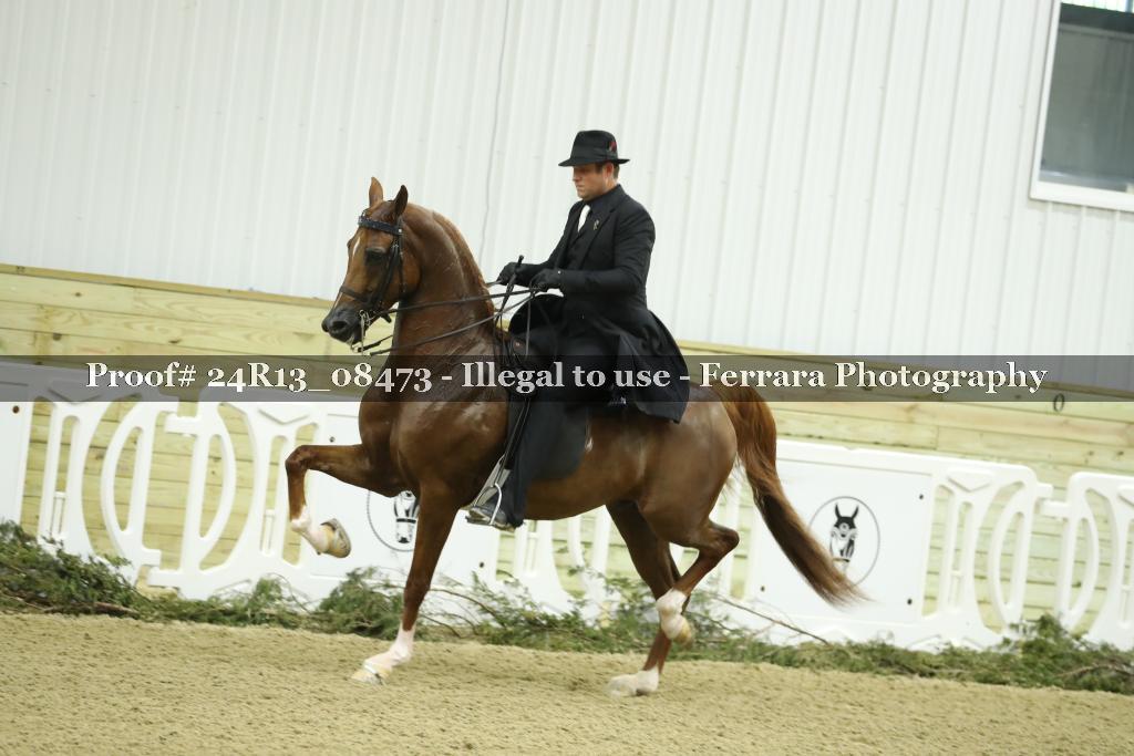 Proof 24R13_08473