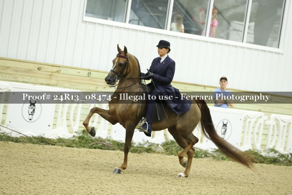 Proof 24R13_08474