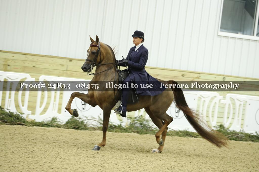 Proof 24R13_08475