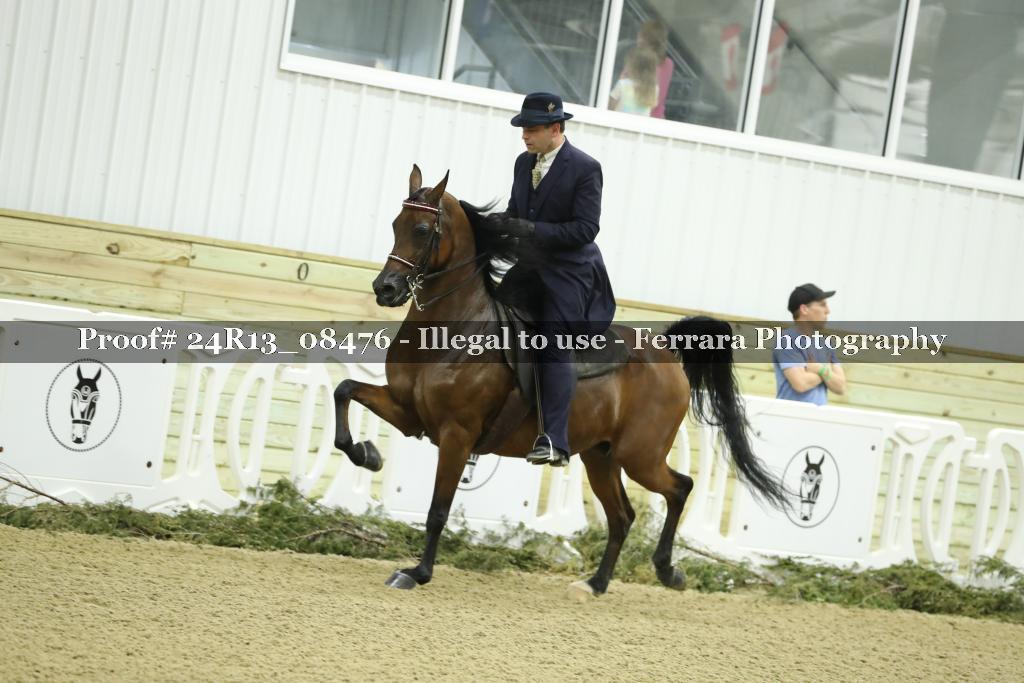 Proof 24R13_08476