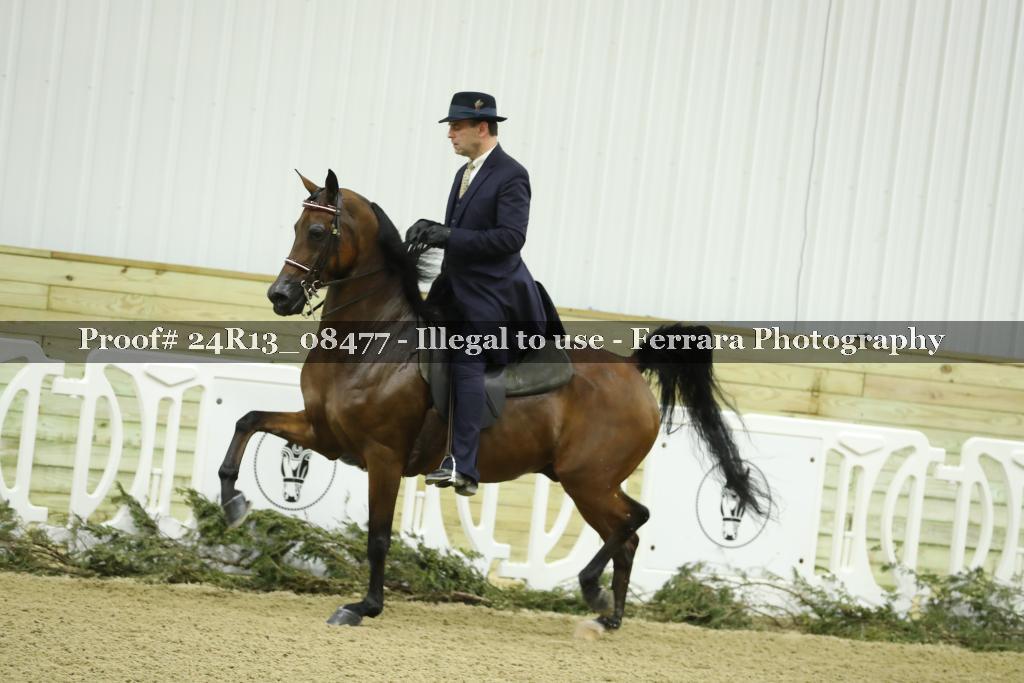Proof 24R13_08477
