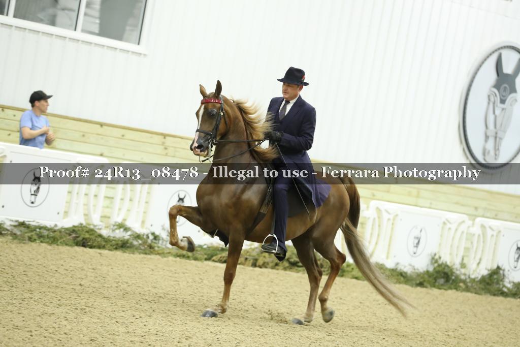 Proof 24R13_08478