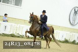 24R13_08478 proof
