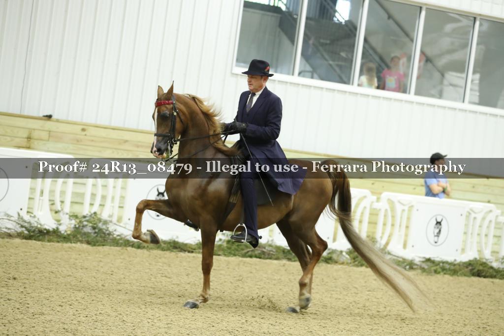 Proof 24R13_08479
