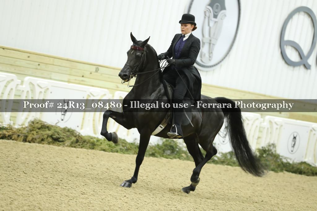 Proof 24R13_08480
