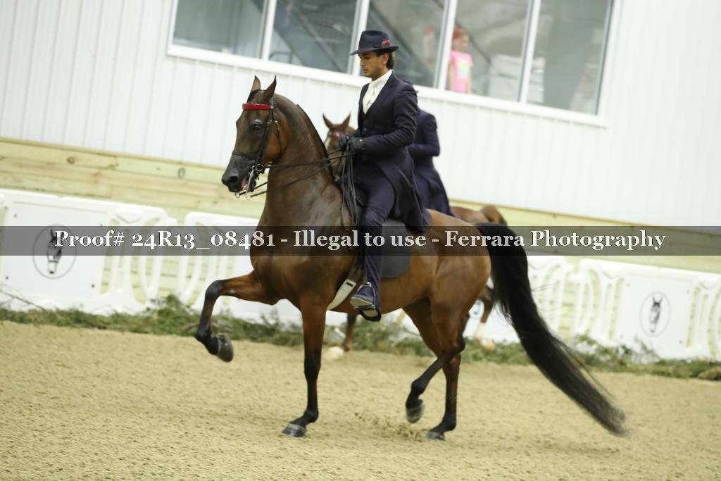 Proof 24R13_08481
