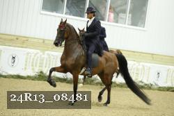 24R13_08481 proof
