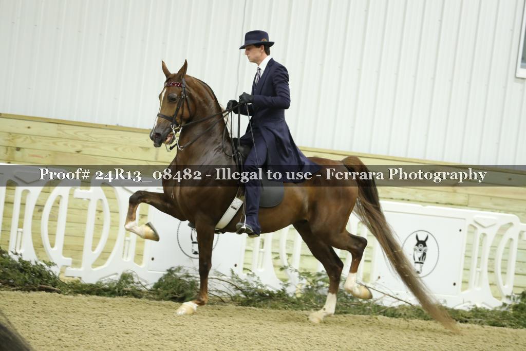 Proof 24R13_08482