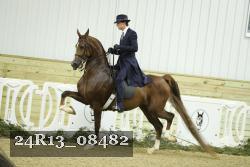 24R13_08482 proof