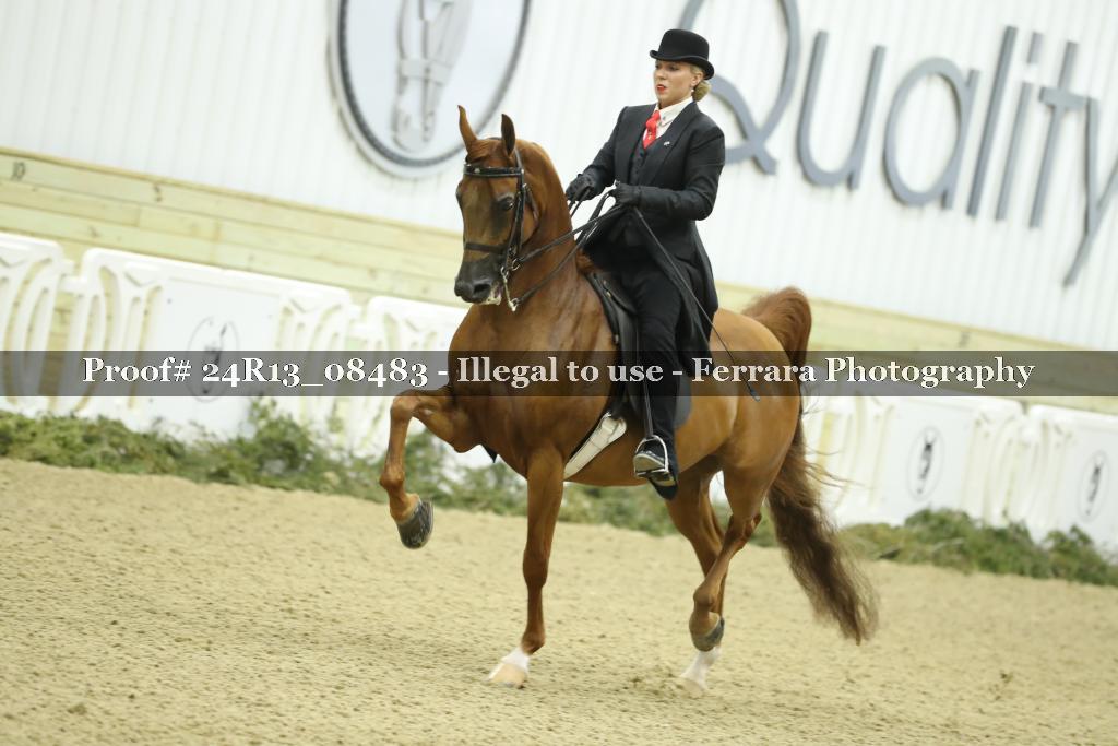 Proof 24R13_08483