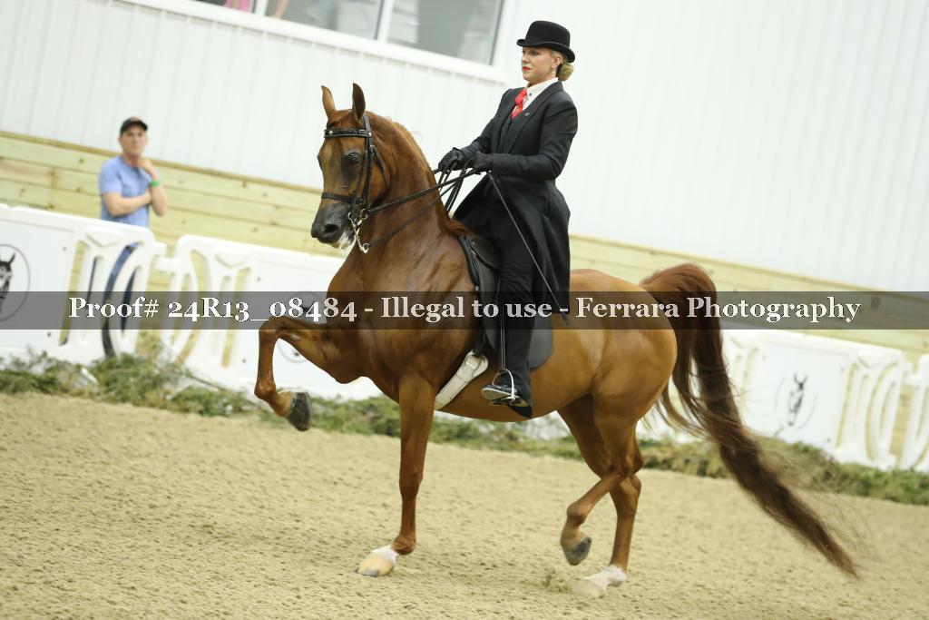 Proof 24R13_08484