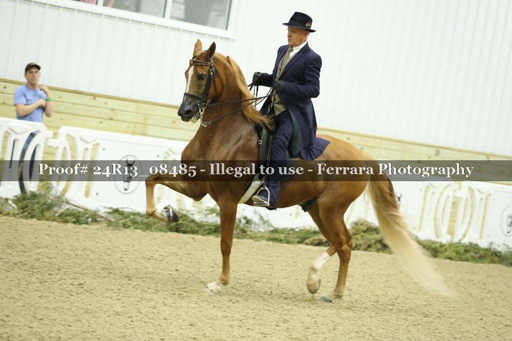 Proof 24R13_08485