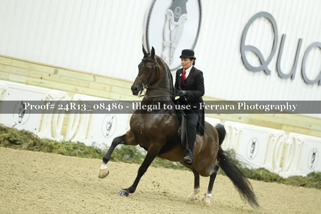 Proof 24R13_08486